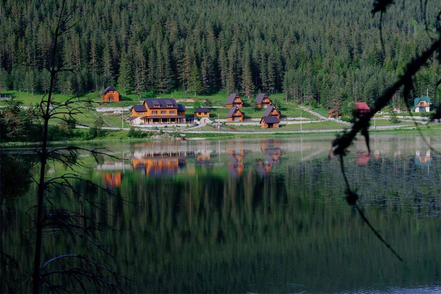 zmi