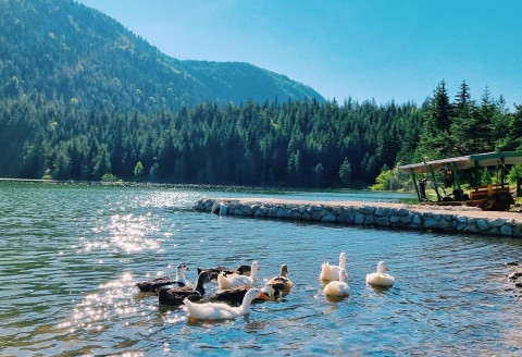 Beyond the Beaches: Why Your Next Adventure Should Be in a Montenegrin Mountain Village